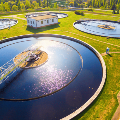 Bild einer Umweltbranche.